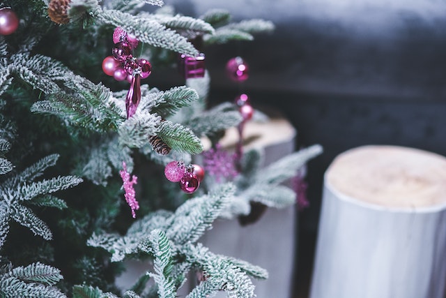 easy-steps-to-follow-when-buying-christmas-trees